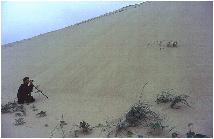 "Europ&auml;ische" Sahara