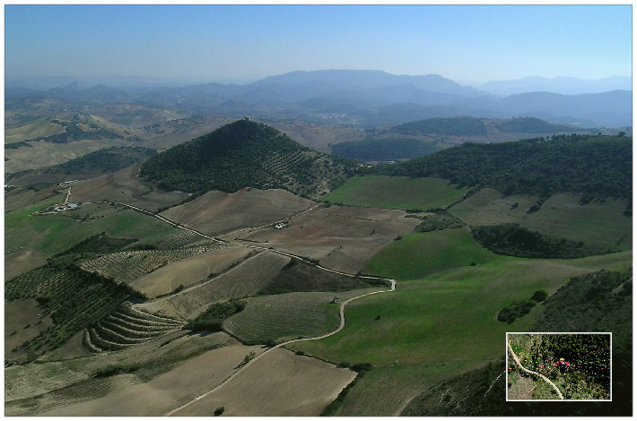 Fluggebiet Montellano