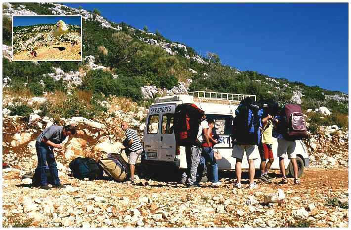 Tandemunternehmen "Sky Sports"