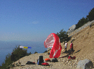 Albins take off / Click me !