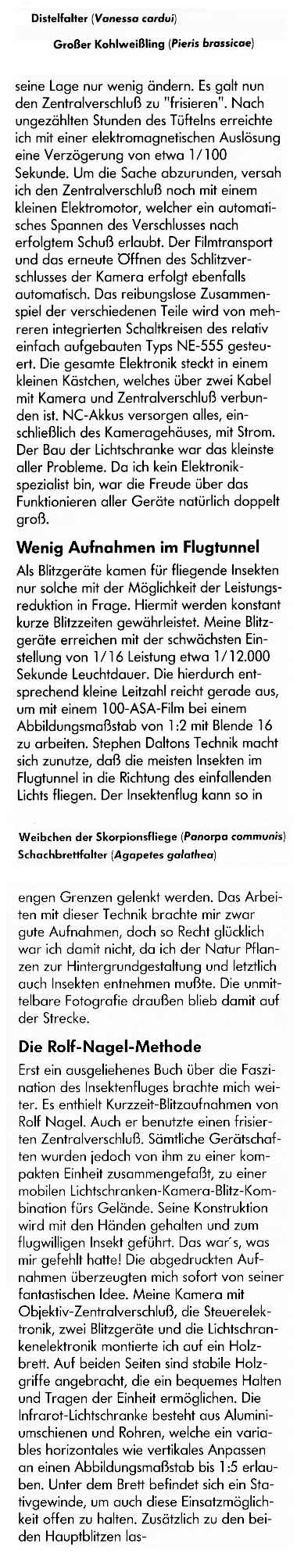 Text&nbsp;Freiflug