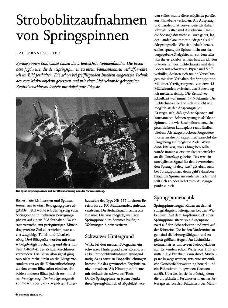 Springspinnen&nbsp;1