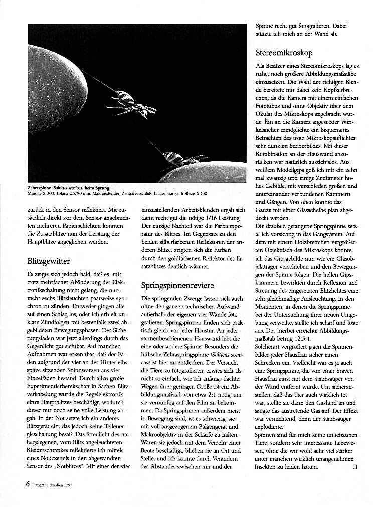 Springspinnen&nbsp;3